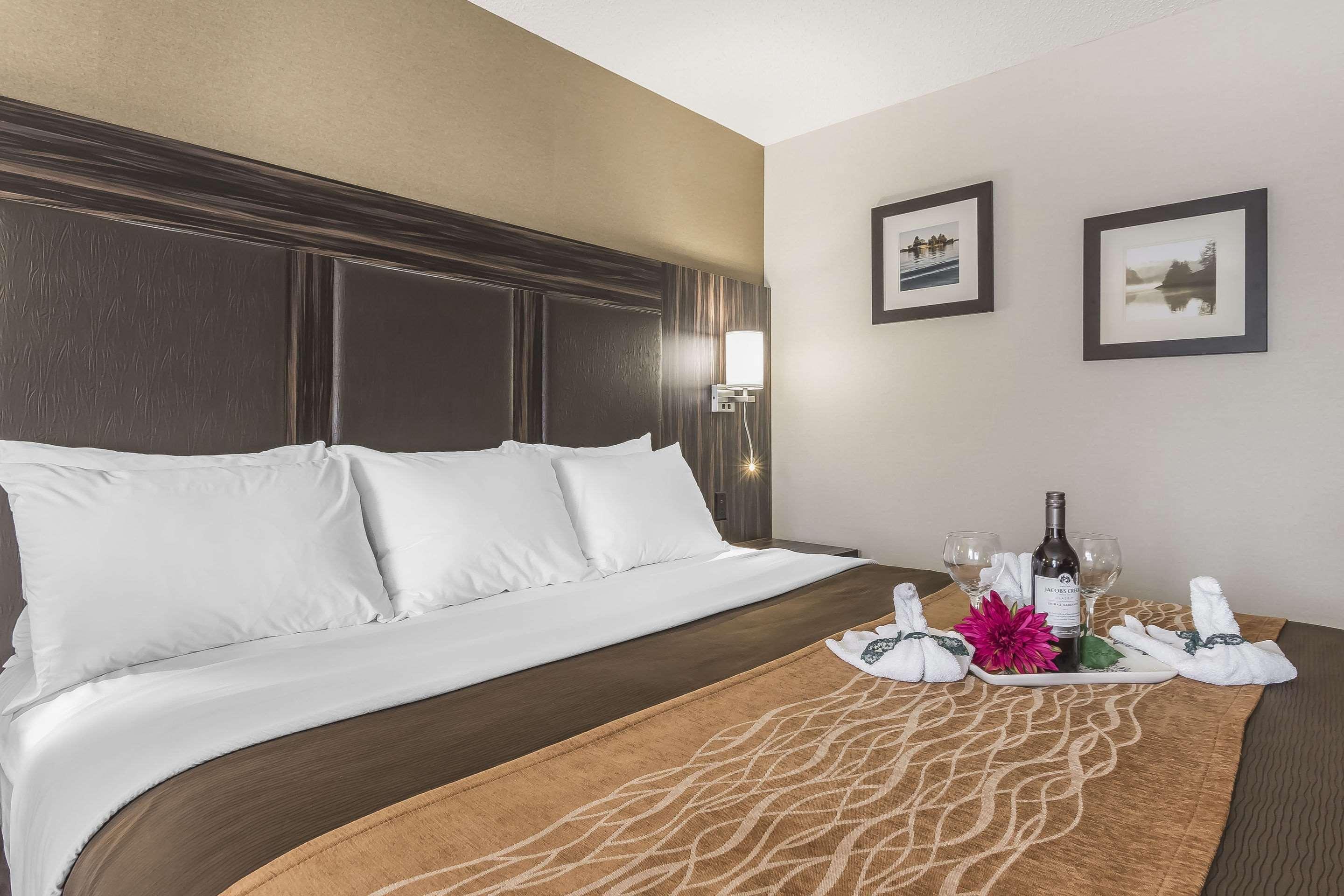 Comfort Inn Trenton Dış mekan fotoğraf